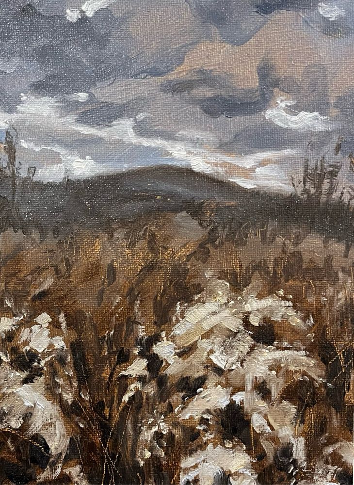 A field of dried grasses and fading goldenrod set against a pale, cloudy sky with muted blue mountains in the distance.