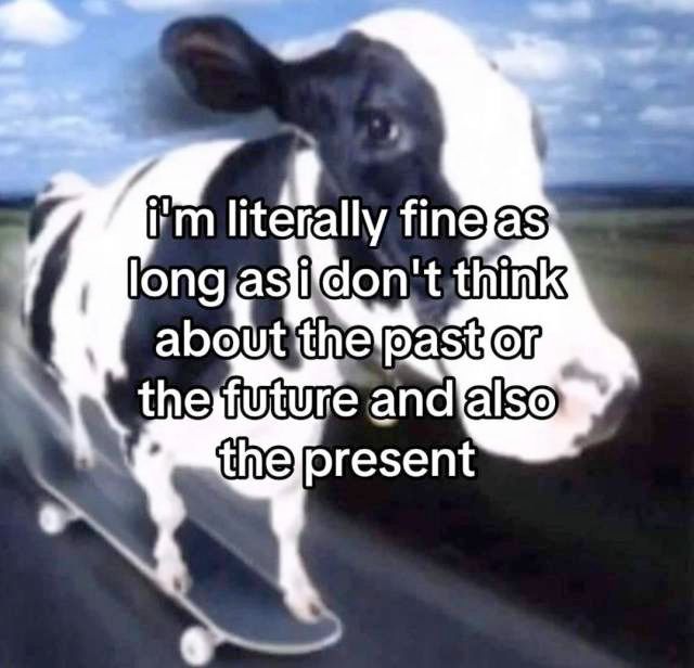 a black and white cow on a skateboard.  caption: "i'm literally fine as long as i don't think about the past or the future and also the present"