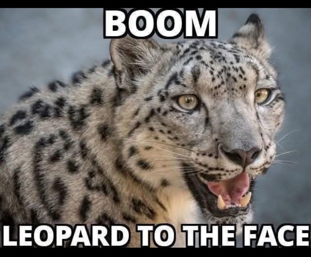 Comment image