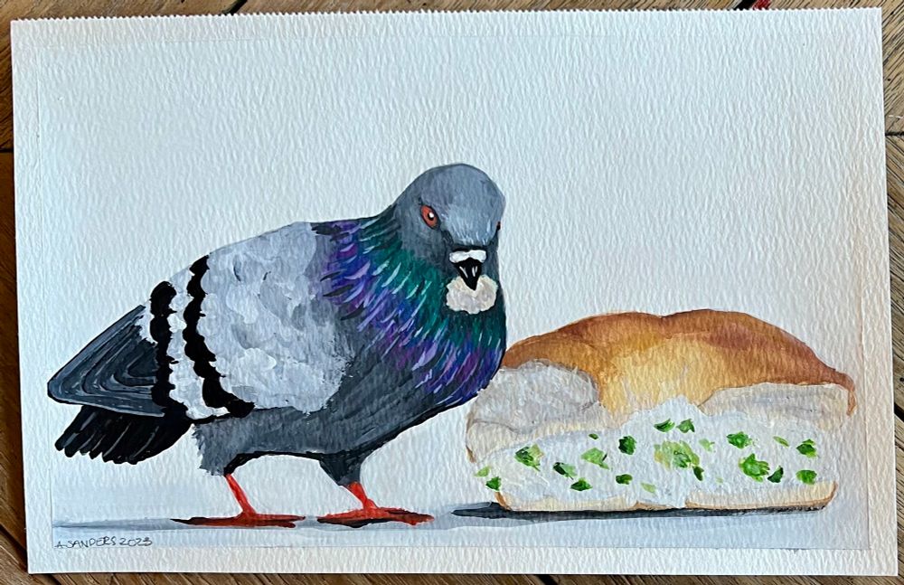 A pigeon eating a bagel with scallion cream cheese. 