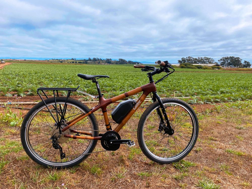 An extra small bamboo frame with 26" wheels in front of a field of artichokes.  Ebike conversion kit neatly packed into frame
