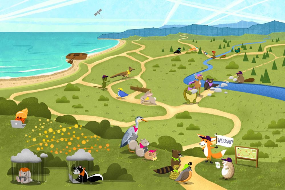 Illustration by Allison Horst. a seaside landscape with animals on different paths