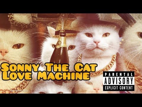 Sonny The Cat Love Machine by Sonny The Cat (1971)