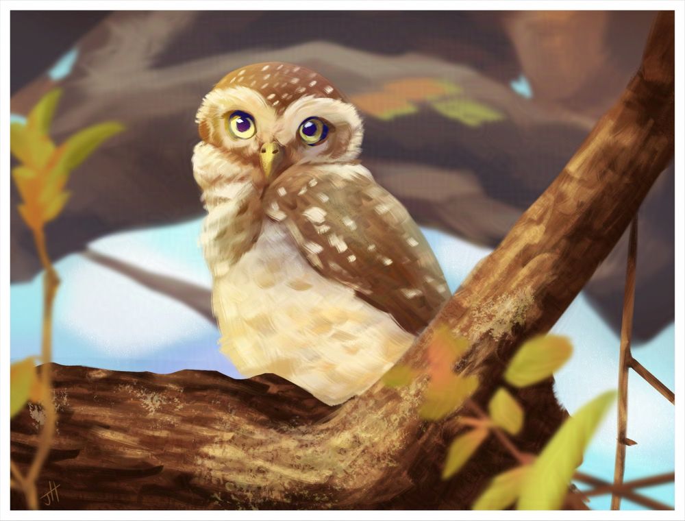 A digital art painting of a Spotted Owlet - a small brown, white spotted owl with cream colored tummy and thick brows. It's standing on a thick branch, looking at the camera 