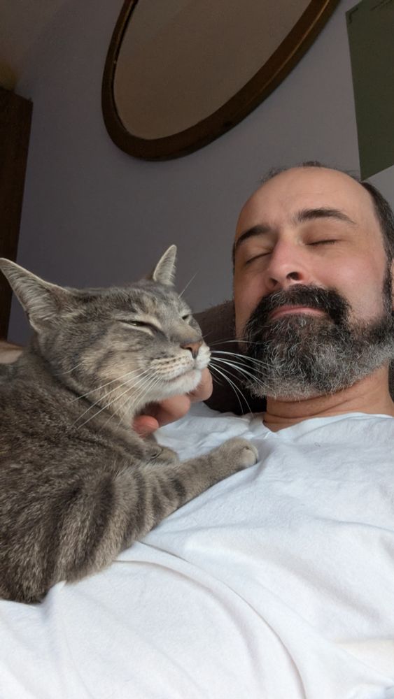Pippin, a grey tabby, receives chin scritchums from A.J., a bearded white man on a white v neck. A mirror hangs on the wall behind them. They both have their eyes closed.