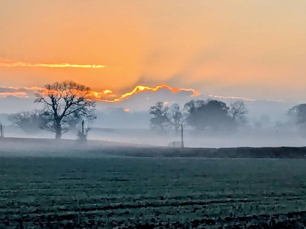 Photo of a winter's morning over mid Norfolk fields.

In the foreground are rows of winter wheat or brassica - it's hard to tell as this area is dark and pixelated by the low light levels.

In the middle distance, a line of trees, branches bare, are shrouded in grey mist boiling off in the early sunlight.

Behind the trees a bank of clouds are backlit by golden sunshine. Rays are spilling up into the sky from behind them, shadows caused by the cloud. A slim line of cloud is lit golden high above the whole scene.