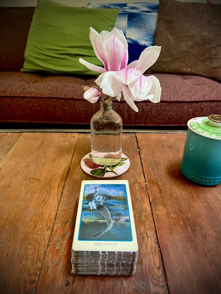 Wooden table in front of maroon couch with a small jar of pink magnolia blossoms, a lidded cup of tea, and a tarot card: the Page of Cups