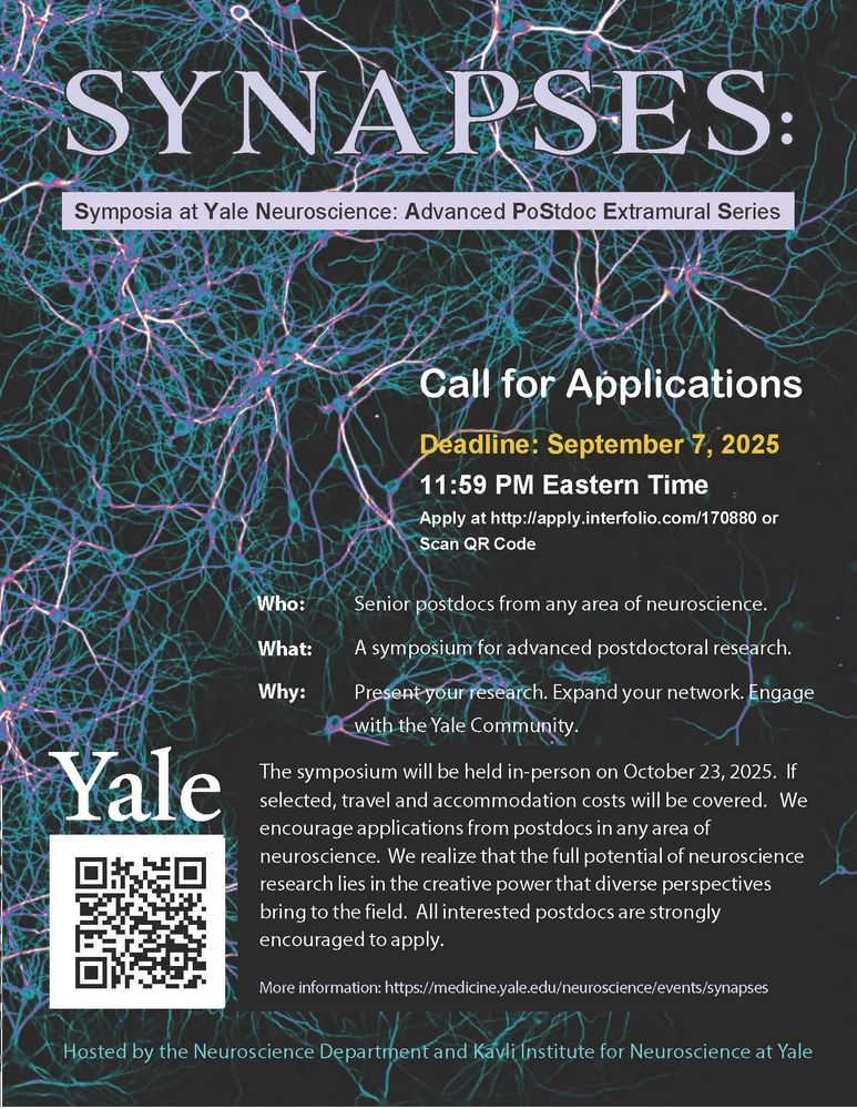 Flyer of the SYNAPSES symposium call for applications.