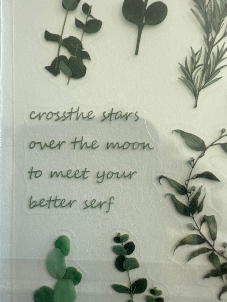 Cross the stars over the moon to meet your better serf. 