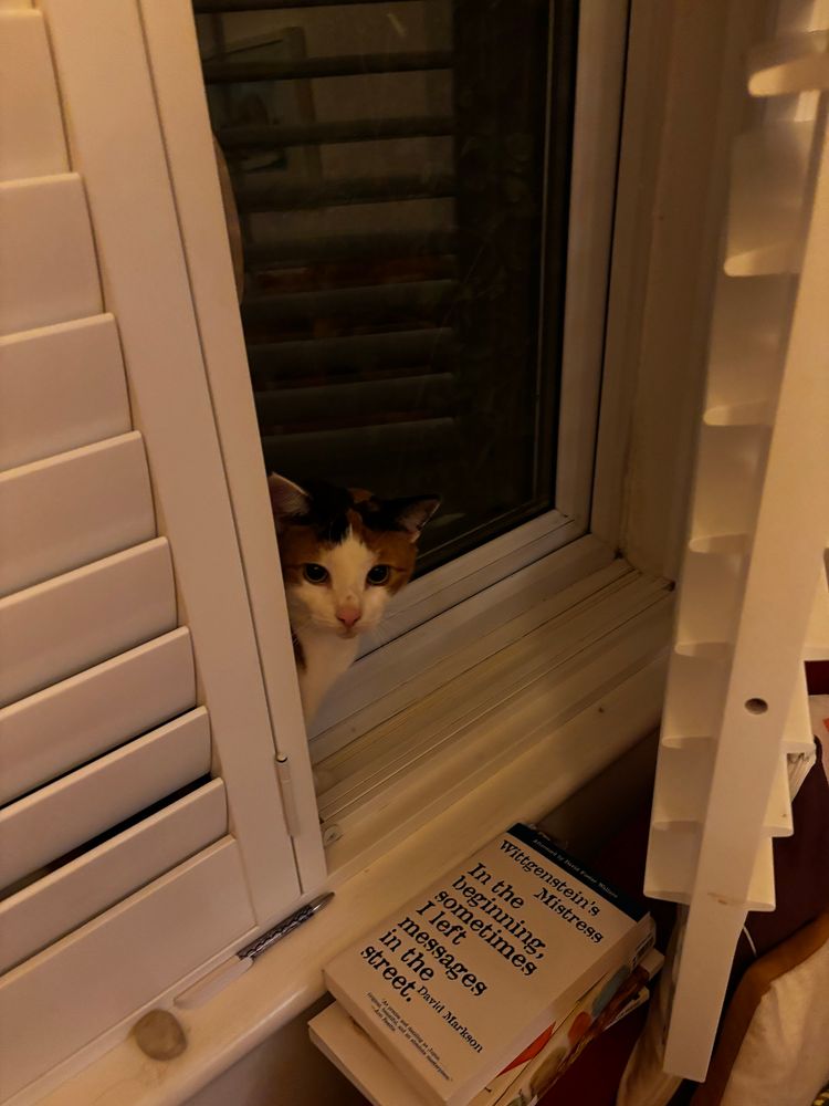 popping her head out from where she’s hiding behind window shutter blinds