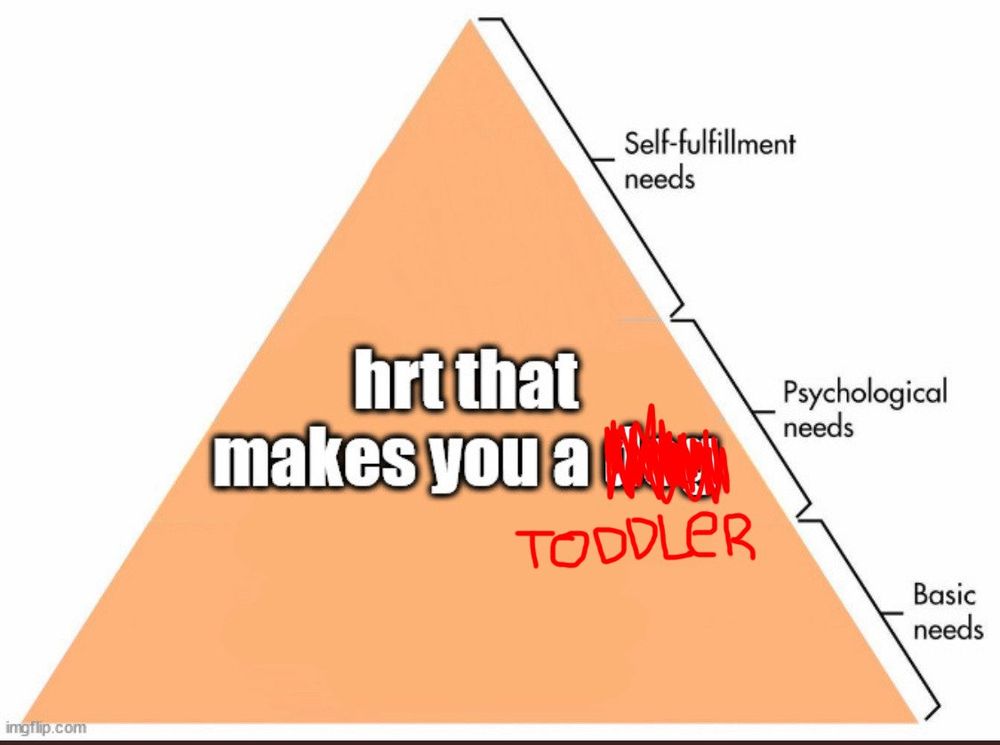 Hierarchy of needs pyramid that just reads "hrt that makes you a toddler"