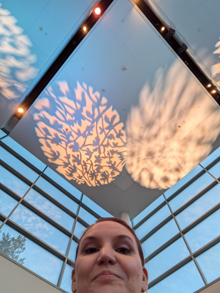 A very cool atrium at LIU- projected lighted floral designs on the ceiling, ceiling-height windows, and Lorelei's face at the bottom