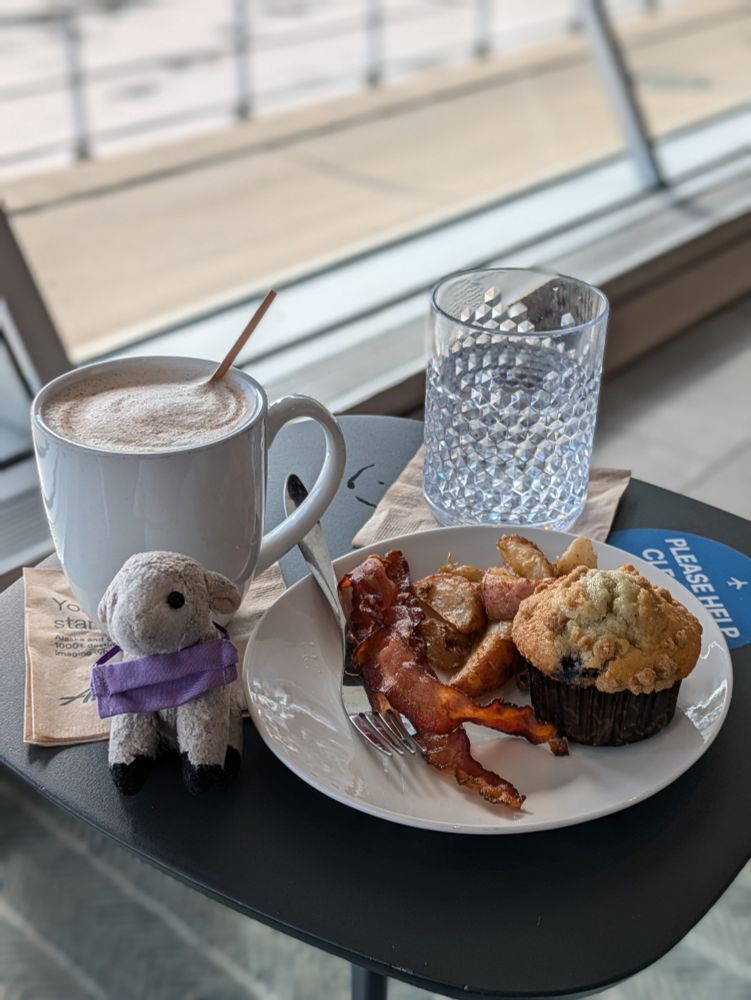 Sheepy the tiny stuffed sheep with a breakfast plate, a mug of chai, and a glass of water
