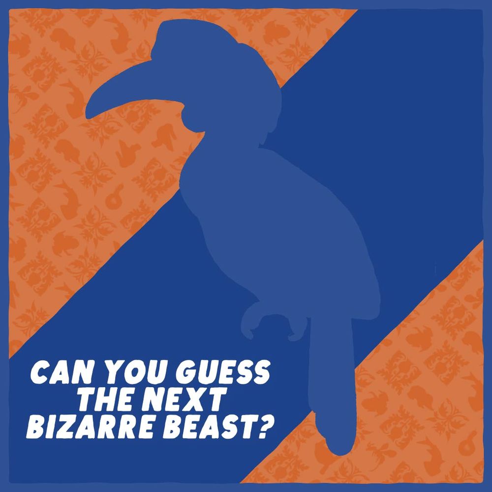 "CAN YOU GUESS THE NEXT BIZARRE BEAST?" With the silhouette of the next bizarre beast in the center on an orange background. 