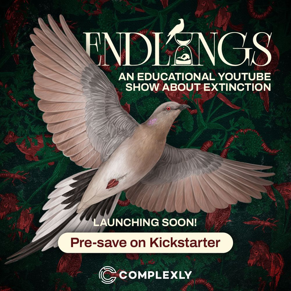 a beautiful illustration of a passenger pigeon and the Endlings logo a new show that the Bizarre Beasts team is working on. 