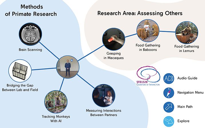 Schematische Karte der Virtuellen Tour zur Forschung des SFB 1528. Links sind unter dem Titel „Methods of Primate Research“ fünf Stationen dargestellt: Brain Scanning (Gehirnscan), Bridging the Gap Between Lab and Field (Brücke zwischen Labor und Freiland), Tracking Monkeys With AI (Affenverfolgung mit KI), Measuring Interactions Between Partners (Messung von Interaktionen zwischen Partnern), und eine zentrale Figur einer Person. Rechts unter dem Titel „Research Area: Assessing Others“ drei Stationen: Grasping in Macaques (Greifen bei Makaken), Food Gathering in Baboons (Nahrungsaufnahme bei Pavianen), und Food Gathering in Lemurs (Nahrungsaufnahme bei Lemuren). Unten rechts sind Symbole für die Navigation der Tour: Audio Guide, Navigation Menu, Main Path und Explore. In der Mitte das Logo des SFB 1528 „Cognition of Interaction“.