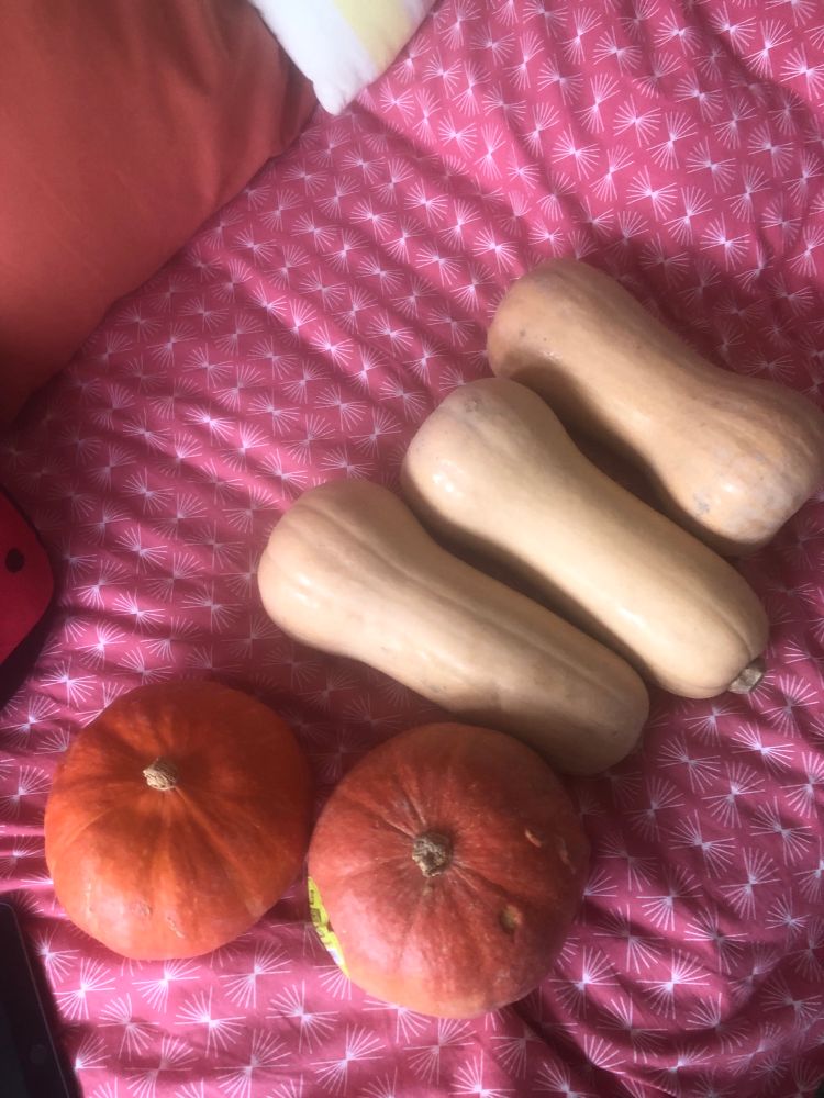 3 butternuts et 2 potimarrons