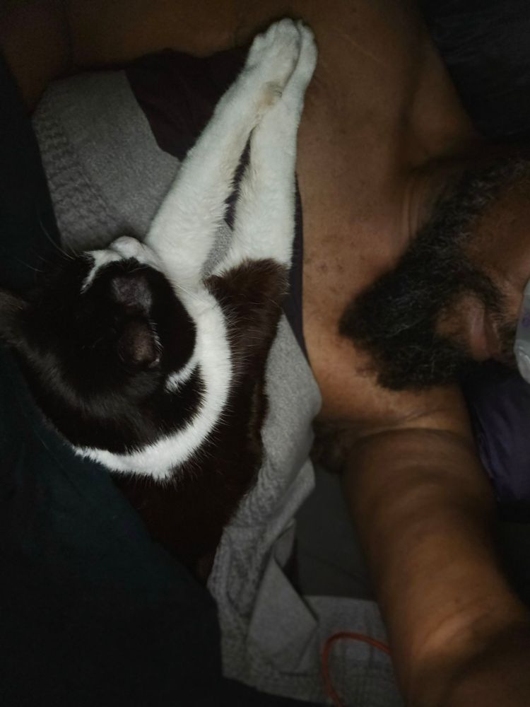 My cat and I in bed for the night 