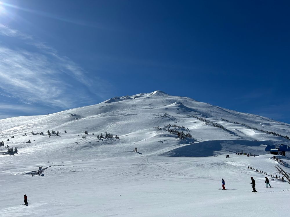 Mount Bachelor in Oregon, covered in snow under a clear blue sky. The mountain's smooth, snow-laden slopes dominate the upper half of the image, with subtle undulations and scattered clusters of small trees. In the foreground, several people are skiing and snowboarding on the expansive snowy terrain. Shadows from the sun, visible in the top left corner, stretch across the snow, adding depth to the scene. There is a small building to the right with a group of people nearby.