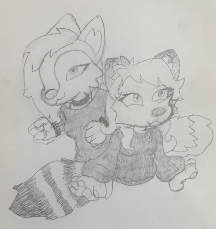 pencil sketch of waverly the fox and brynn the raccoon facing opposite directions excitedly