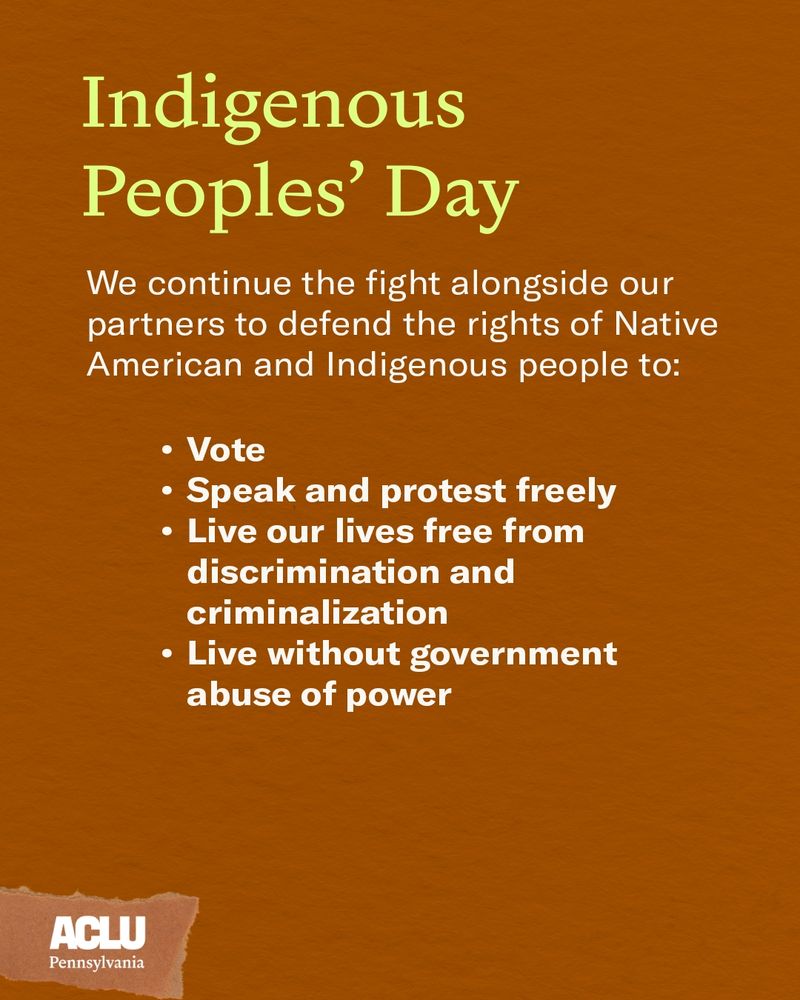 Brown graphic reads, "We continue the fight alongside our partners to defend the rights of Native American and Indigenous people to:

Vote

Speak and protest freely

Live our lives free from discrimination and criminalization

Live without government abuse of power"