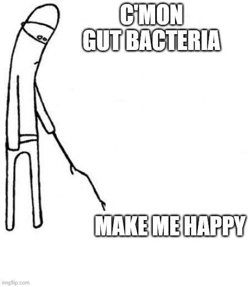 C'mon do something meme: A crude drawing of a person with a stick poking at the ground. Caption reads, "C'mon gut bacteria make me happy".