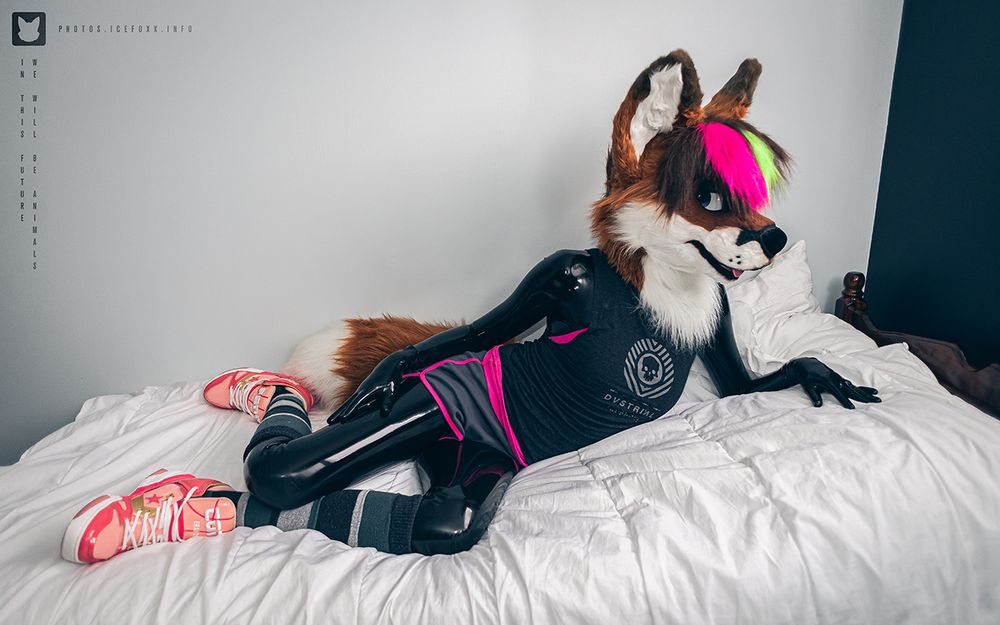 A photo of me wearing my fox fursuit head and tail, a black latex catsuit, knee high socks, pink shoes, grey and pink shorts, and a dark grey tank top. I am lying on my bed.