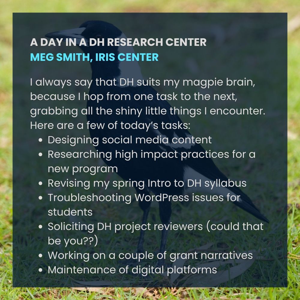 A Day in a DH Research Center
Meg Smith, IRIS Center

I always say that DH suits my magpie brain, because I hop from one task to the next, grabbing all the shiny little things I encounter. Here are a few of today’s tasks:
Designing social media content
Researching high impact practices for a new program
Revising my spring Intro to DH syllabus
Troubleshooting WordPress issues for students
Soliciting DH project reviewers (could that be you??)
Working on a couple of grant narratives
Maintenance of digital platforms