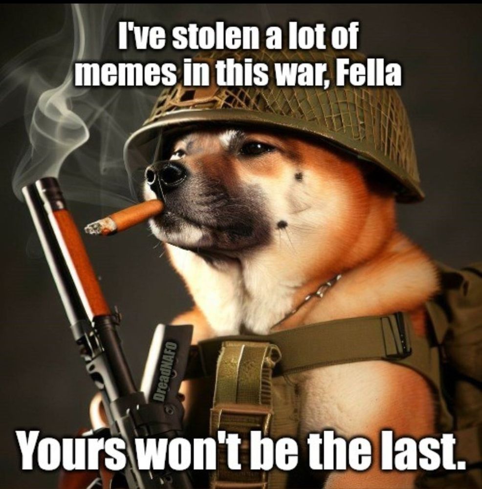 A meme of a dog soldier commenting that he's stolen a lot of memes and this one won't be the last