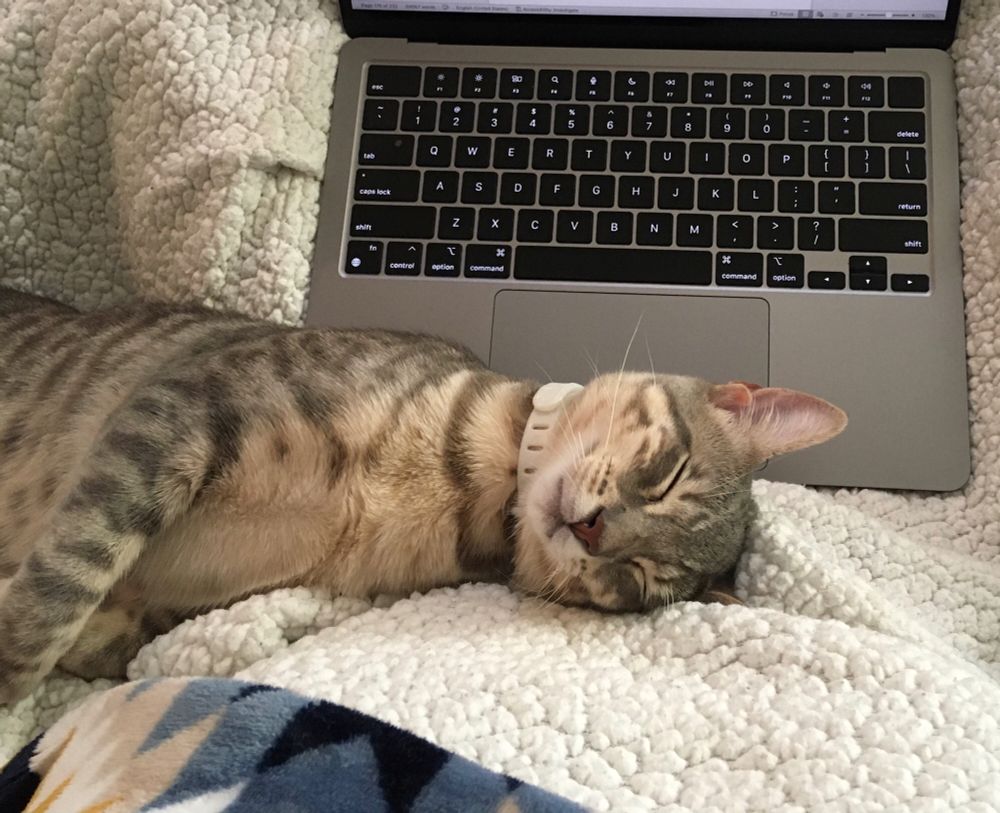 A gray tabby cat stretched out on a white blanket and sleeping in front of a laptop keyboard.