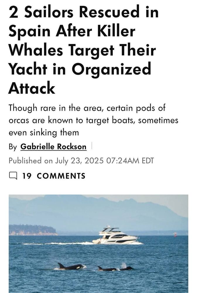 ELEPHANTS TOOK OUT SOME MILLIONAIRE SAFARI HUNTING GUIDE AND ORCAS TOOK DOWN A YACHT ON THE SAME DAY 