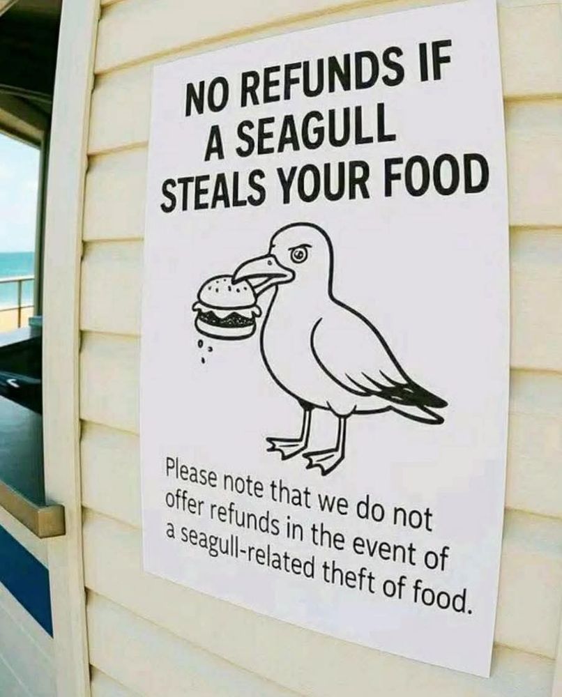 A sign saying seagulls will steal the food.
The seagull looks menacing. 