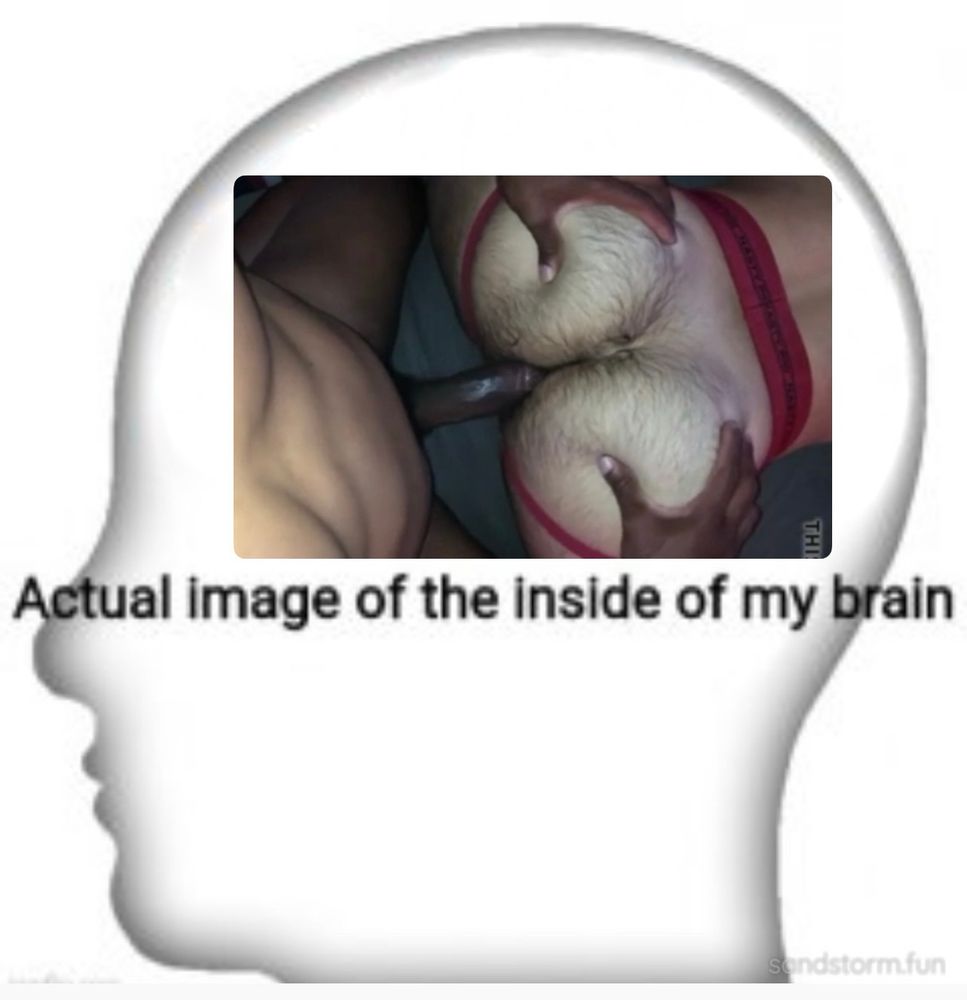 Post image (had no alt text on Bluesky)