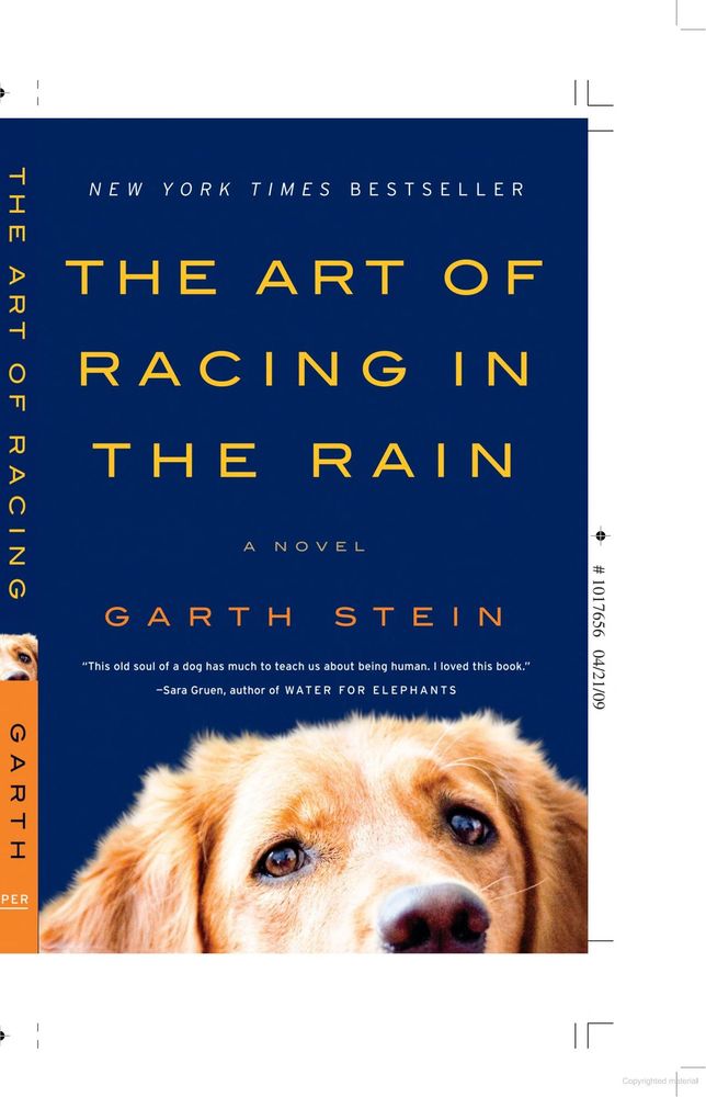 A picture of the cover of the book The Art of Racing in the Rain a novel by Garth Stein 
The cover is a dark navy blue with the head of a Golden Retriever peeking up from the bottom and the book title in bold yellow