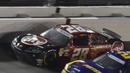 Shane Lee Circut City