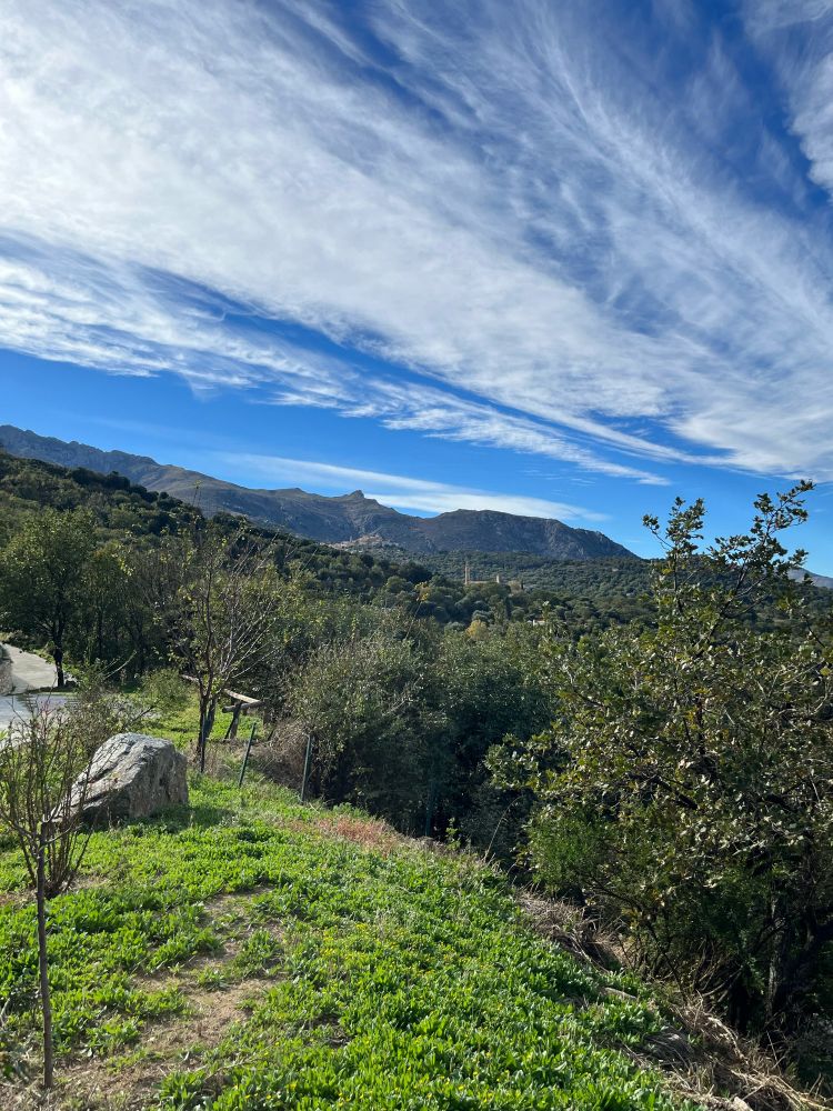 Traînées de nuages sur ciel bleu. Village perché au second plan de la végétation