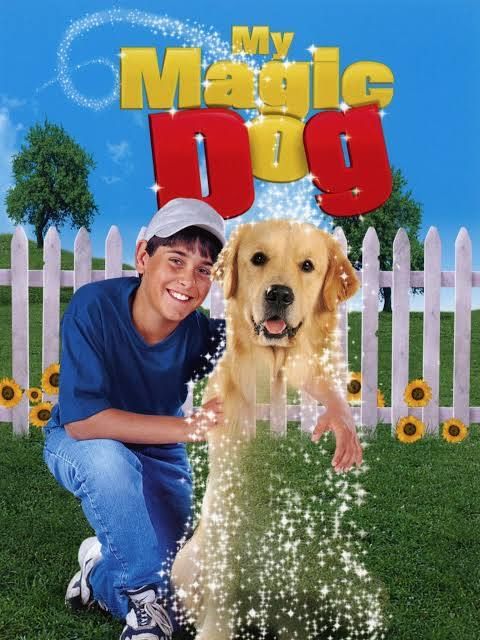 poster for the film "My Magic Dog" which features a boy in a blue shirt and white hat holding his golden retriever whom is turning into startdust