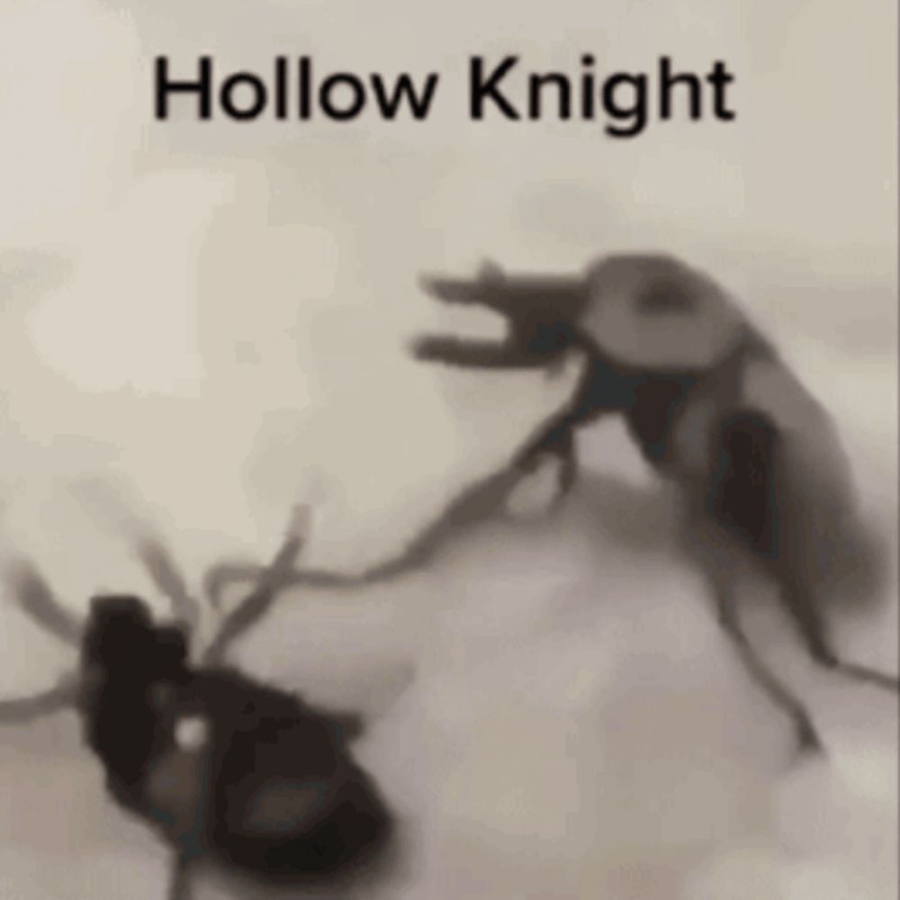 a picture of a hollow knight standing next to another bug