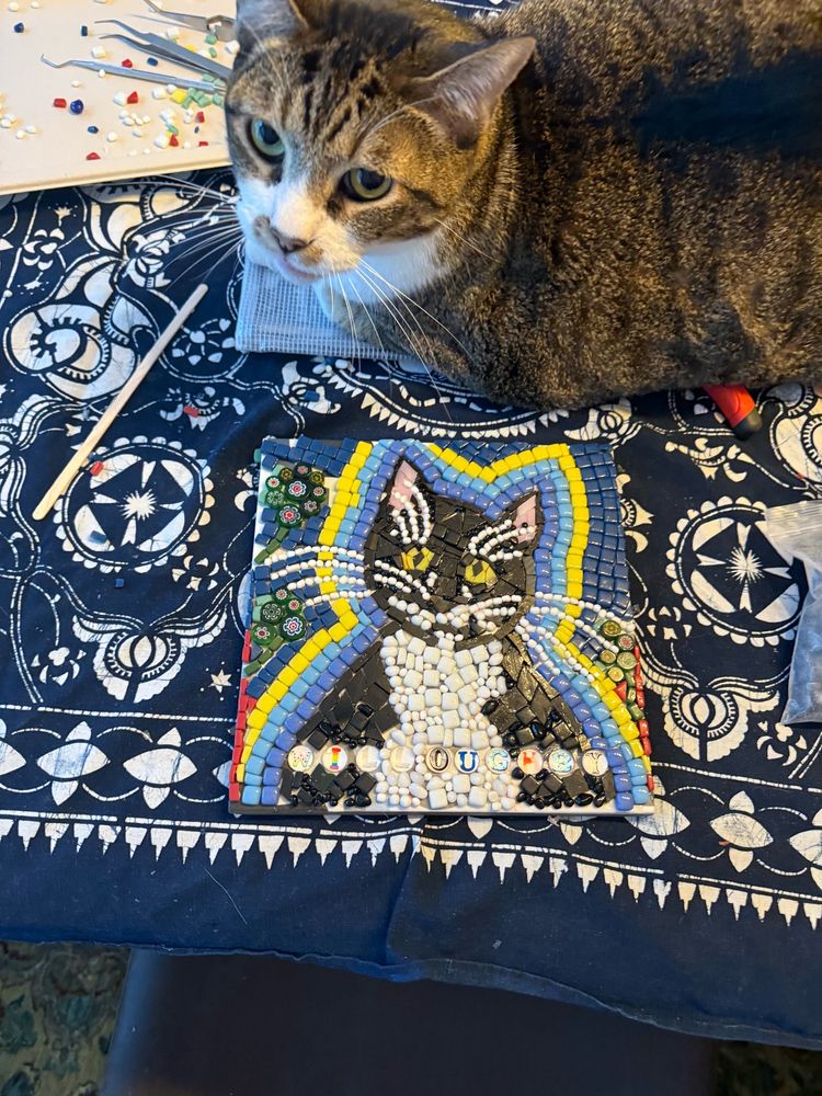  I made a mosaic (work in progress) of my dude Willoughby- he had a big spirit!!! His little brother misses him too 💕💕