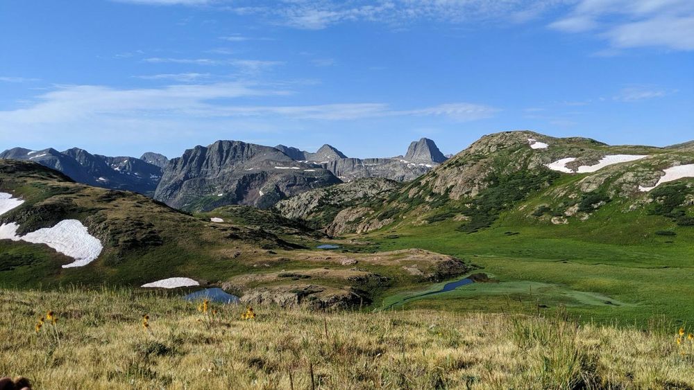 A landscape photo of the Weminuche Wilderness, showing a swathe of wildflowers in the foreground, a series of alpine lakes surrounded by snow in the midground, and distance peaks in the background.