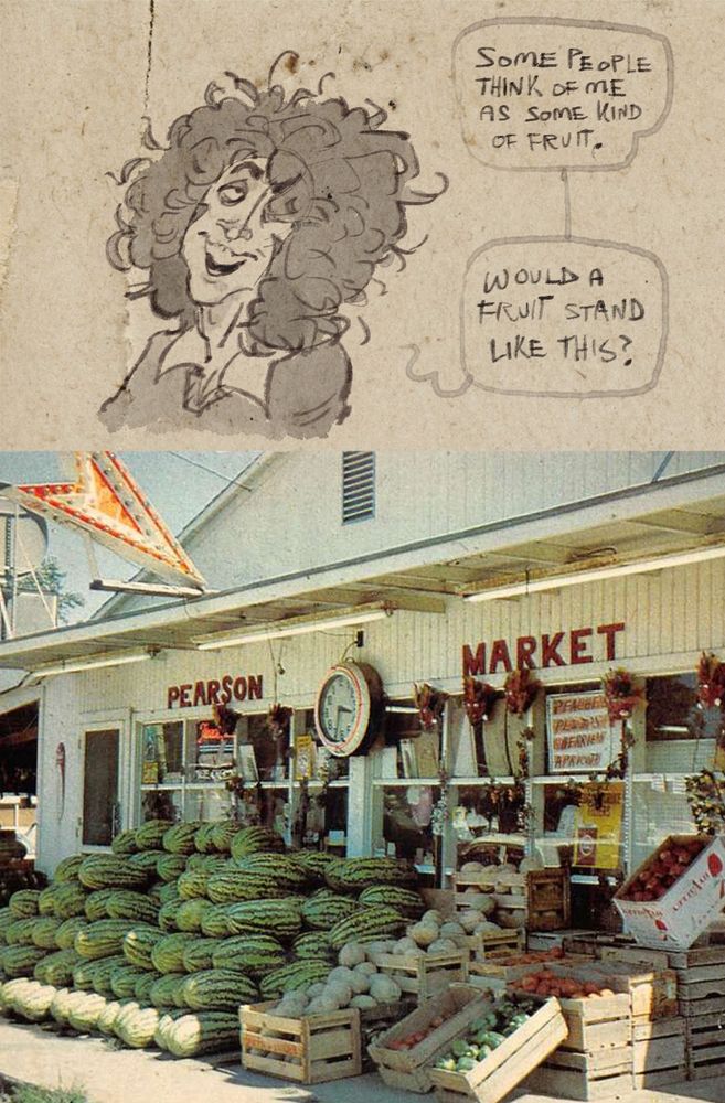 A close up of ashton saying "some people think of me as some kind of fruit. Would a fruit stand like this?" 
The next panel is a photograph of a fruit stand.