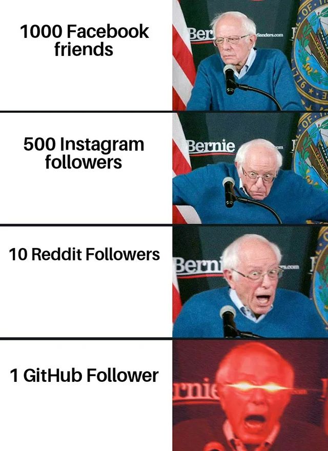 Bernie Sanders meme.