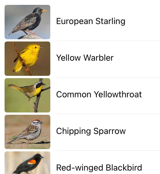 Screenshot of the Merlin app with a list of birds (listed in above post)