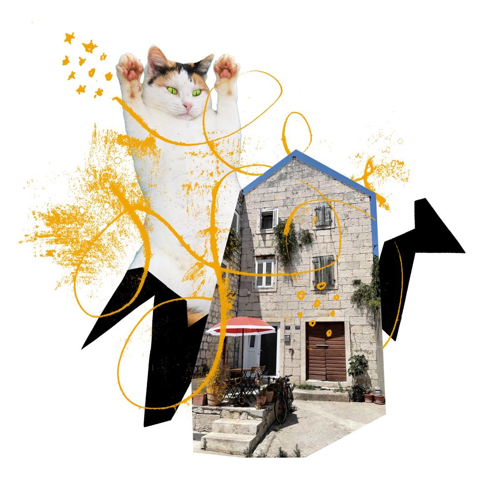 Photomontage: a cat named Mini towers like Godzilla above an old stone house