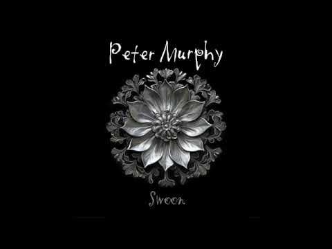 Peter Murphy "Swoon"