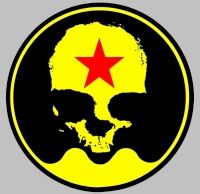 The starred skull left shoulder patch from Avasarala's Razorback Racing suit.  I copied the skull and simplified it but the rest is from scratch.  All done in Irfanview.  