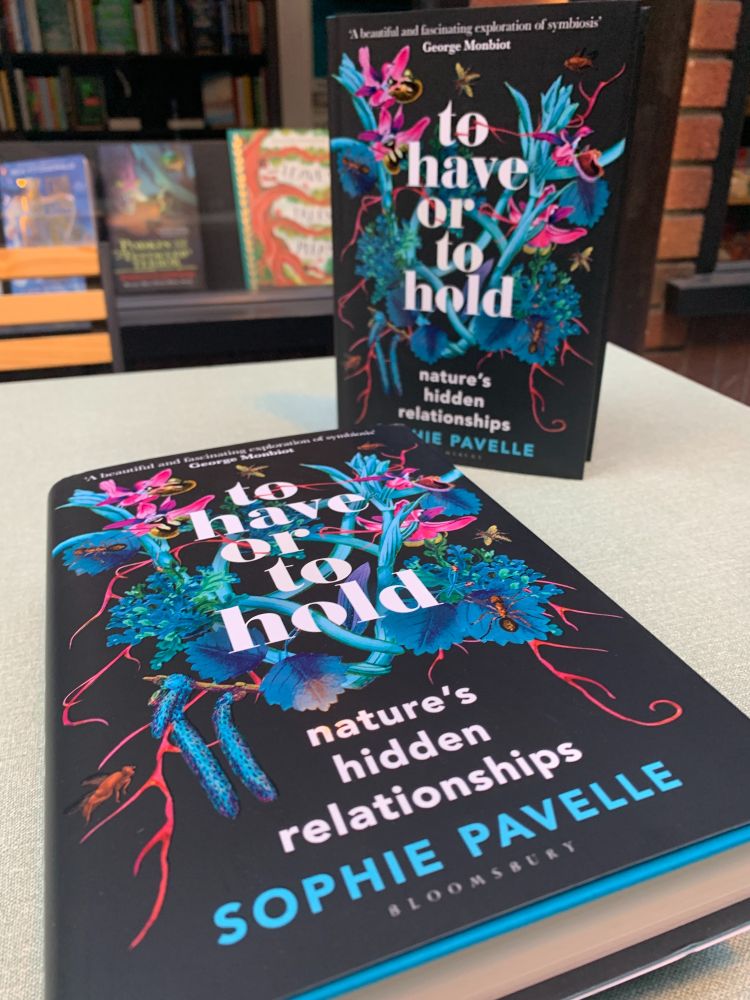 An image of Sophie Pavelle's book, To Have or to Hold: Nature's hidden relationships