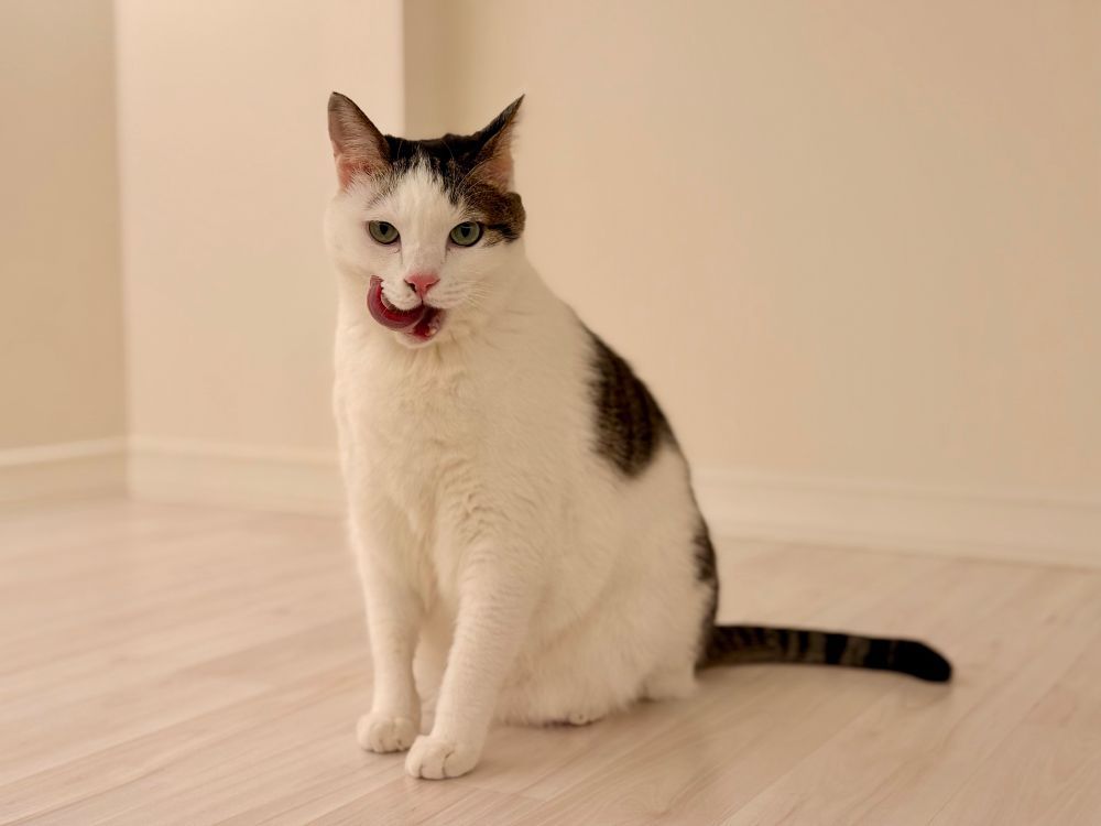 그러나 여전한 눈꼽