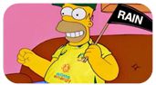 Homer Simpson in an Australian cricket ODI kit holding a flag with the writing "RAIN"