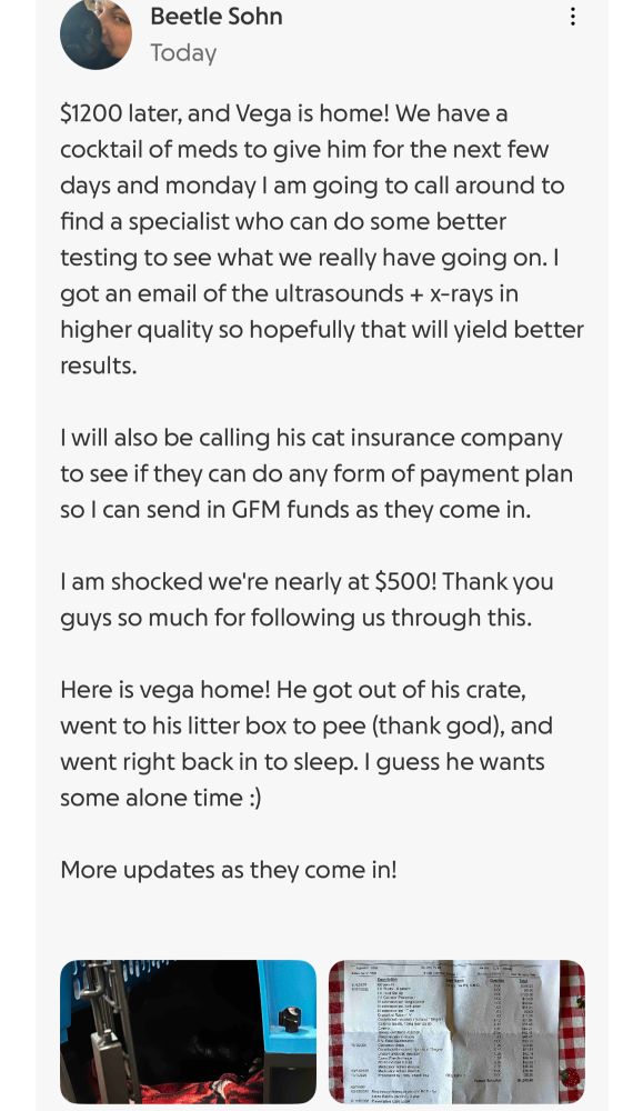 Beetle Sohn
Today
$1200 later, and Vega is home! We have a cocktail of meds to give him for the next few days and monday I am going to call around to find a specialist who can do some better testing to see what we really have going on. I got an email of the ultrasounds + x-rays in higher quality so hopefully that will yield better results.
I will also be calling his cat insurance company to see if they can do any form of payment plan so l can send in GFM funds as they come in.
I am shocked we're nearly at $500! Thank you guys so much for following us through this.
Here is vega home! He got out of his crate, went to his litter box to pee (thank god), and went right back in to sleep. I guess he wants some alone time :)
More updates as they come in!